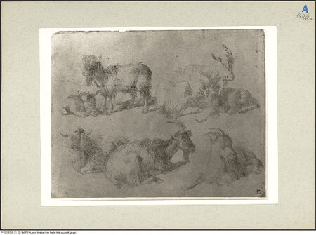 Vorderseite von bh235259_recto