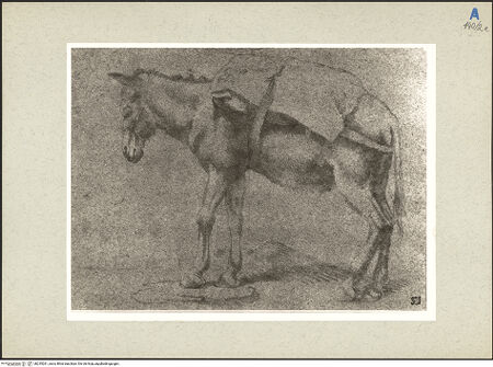 Vorderseite von bh235261_recto