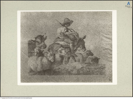 Vorderseite von bh235262_recto