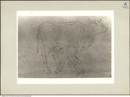 Vorderseite von bh235263_recto