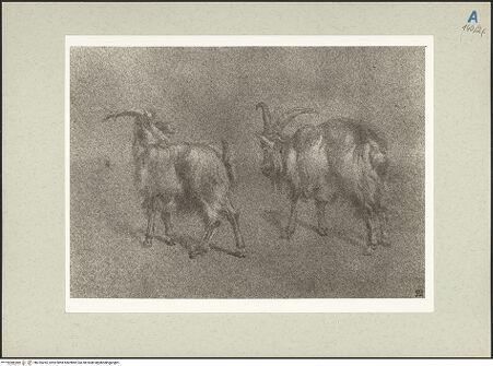 Vorderseite von bh235265_recto