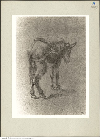 Vorderseite von bh235267_recto