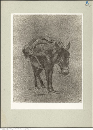 Vorderseite von bh235268_recto