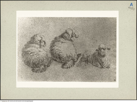 Vorderseite von bh235269_recto