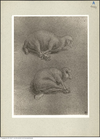 Vorderseite von bh235271_recto