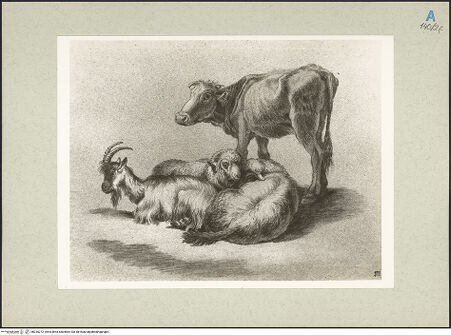 Vorderseite von bh235272_recto