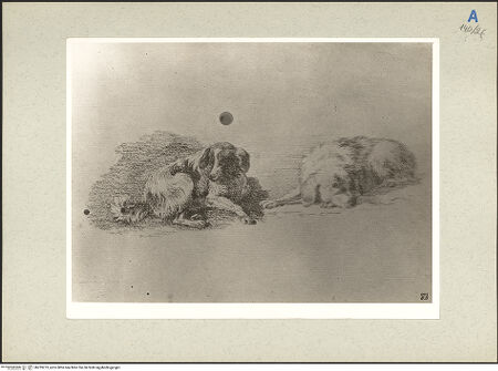 Vorderseite von bh235273_recto