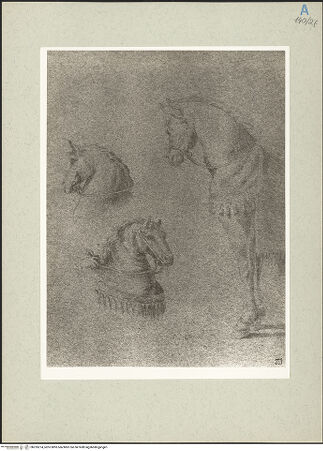 Vorderseite von bh235274_recto