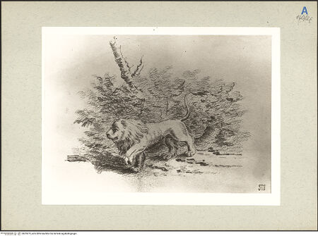 Vorderseite von bh235275_recto