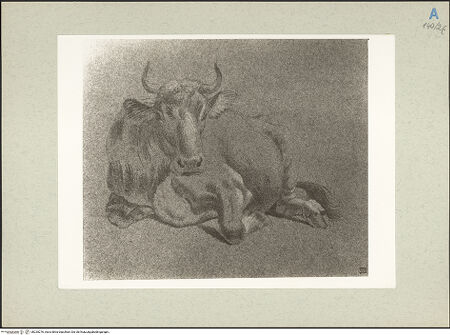 Vorderseite von bh235276_recto