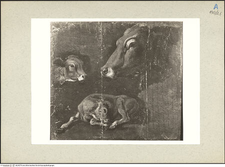 Vorderseite von bh235279_recto