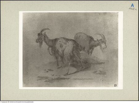 Vorderseite von bh235280_recto