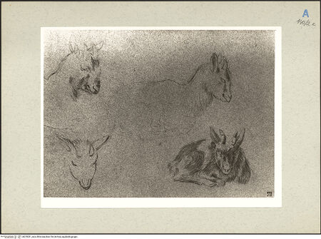 Vorderseite von bh235281_recto