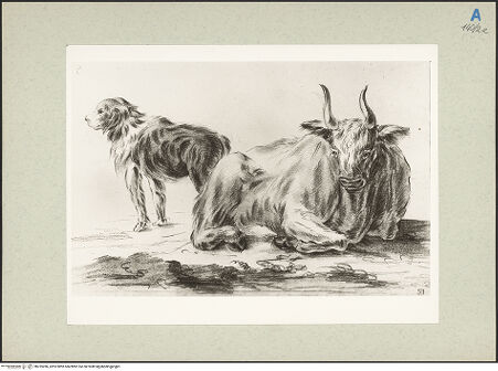 Vorderseite von bh235286_recto