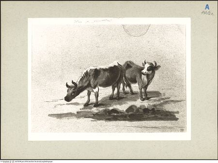 Vorderseite von bh235289_recto