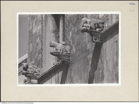 Vorderseite von Foto Marburg [https://www.deutsche-digitale-bibliothek.de/content/lizenzen/rv-ez/] Fenster der Mittelreihe mit Tierfigurenkonsolen - Fenster links, Detail, bh235375_recto. Foto.