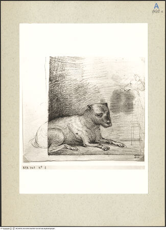 Vorderseite von bh235495_recto