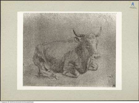 Vorderseite von bh235499_recto