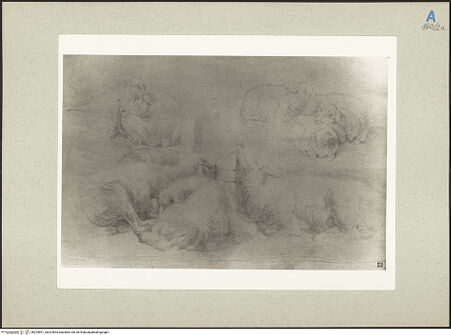 Vorderseite von bh235501_recto