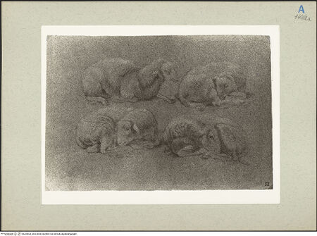 Vorderseite von bh235503_recto