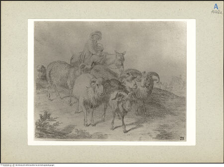 Vorderseite von bh235504_recto