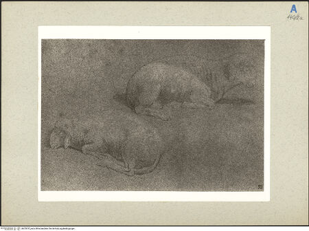 Vorderseite von bh235512_recto