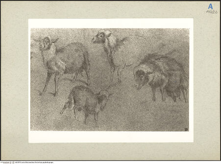 Vorderseite von bh235513_recto