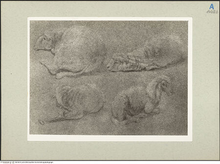 Vorderseite von bh235515_recto