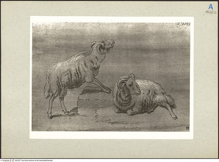 Vorderseite von bh235517_recto