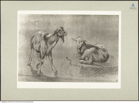 Vorderseite von bh235519_recto