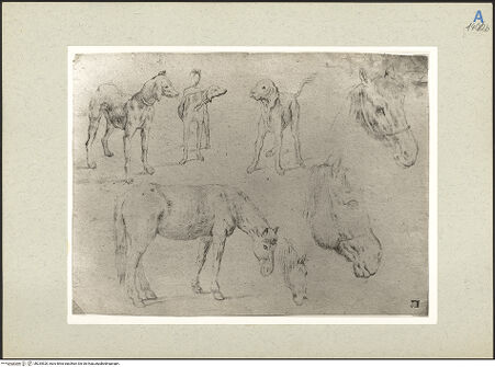 Vorderseite von bh235520_recto