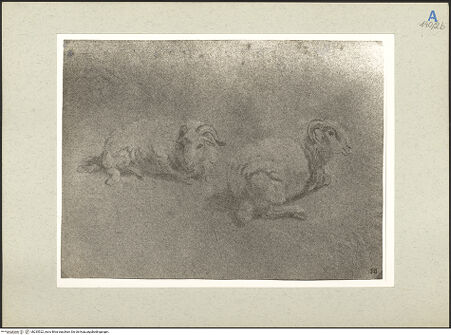 Vorderseite von bh235522_recto