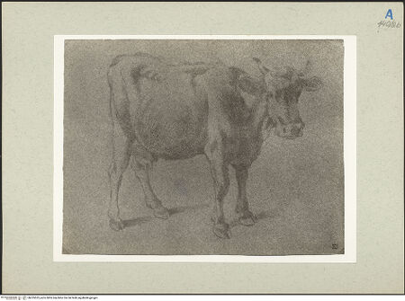 Vorderseite von bh235523_recto