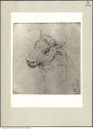 Vorderseite von bh235524_recto