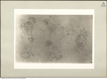 Vorderseite von bh235525_recto