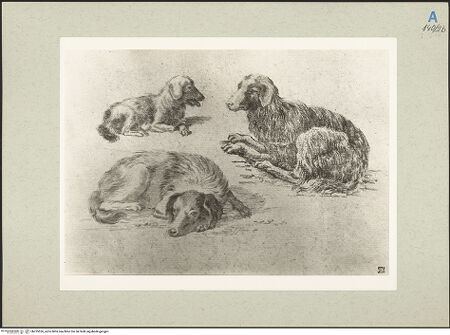 Vorderseite von bh235526_recto