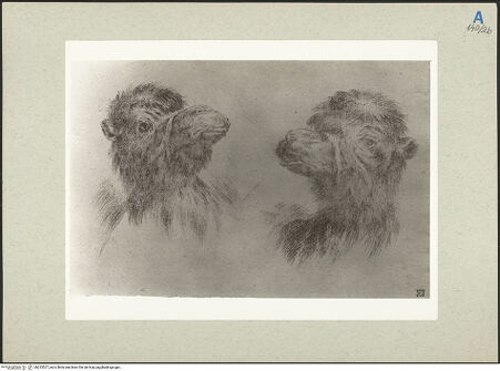 Vorderseite von bh235527_recto