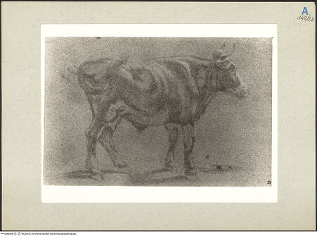 Vorderseite von bh235529_recto