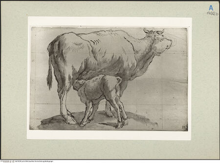 Vorderseite von bh235530_recto