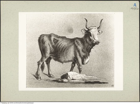 Vorderseite von bh235531_recto