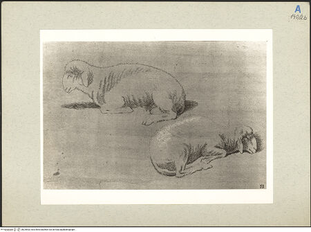 Vorderseite von bh235533_recto