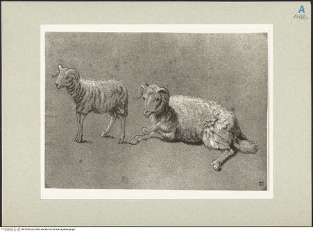 Vorderseite von bh235536_recto