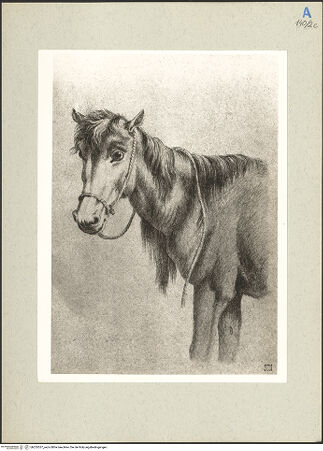 Vorderseite von bh235537_recto