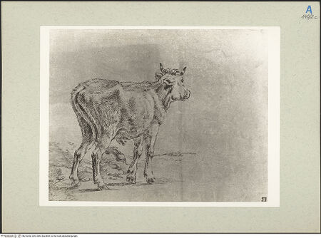 Vorderseite von bh235538_recto