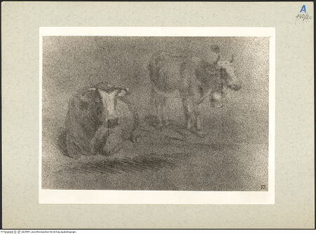 Vorderseite von bh235541_recto