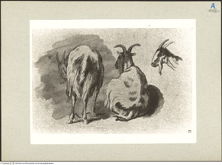 Vorderseite von bh235543_recto