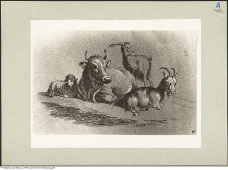 Vorderseite von bh235544_recto