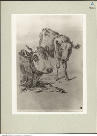 Vorderseite von bh235545_recto