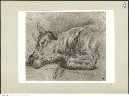 Vorderseite von bh235546_recto