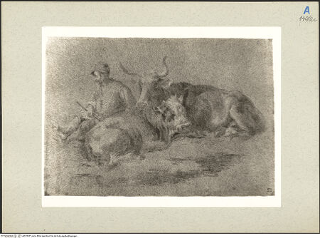 Vorderseite von bh235547_recto